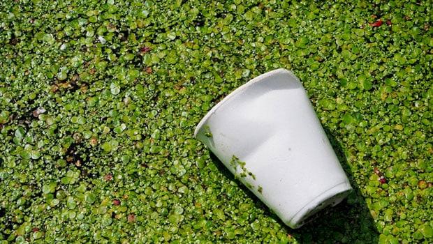 NanoCosas: plásticos biodegradables por la luz solar