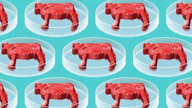 Carne de laboratorio: ¿Es posible que sustituya a la producción convencional?