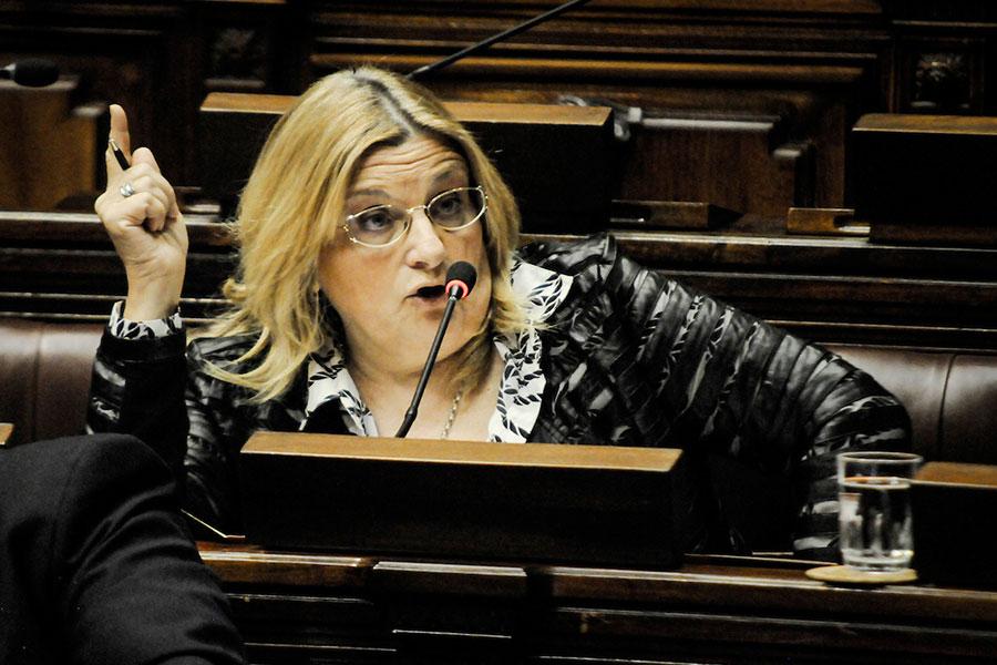 La senadora Bianchi le atribuyó a la periodista Denisse Legrand propuesta de "convocar tropas chavistas para reprimir bolsonaristas"