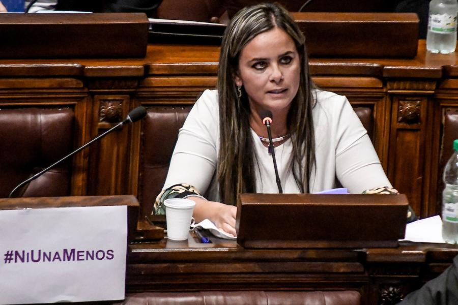 Valentina Dos Santos durante la sesión en la cámara de Representantes del Palacio Legislativo. Foto: Javier Calvelo / adhocFOTOS