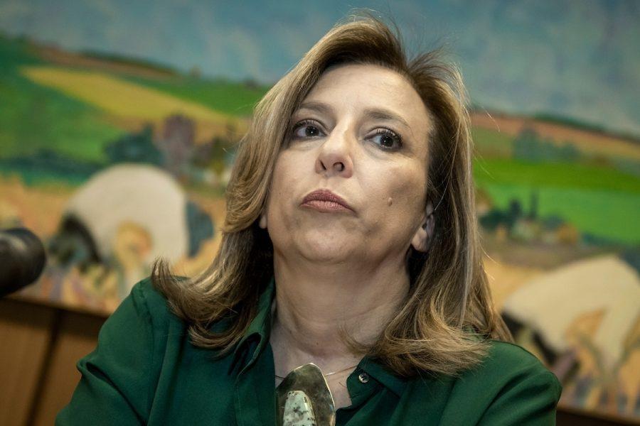 Bottero deslindó responsabilidad del Mides en contrato de asesora en seguridad social embargada en Caja de Profesionales