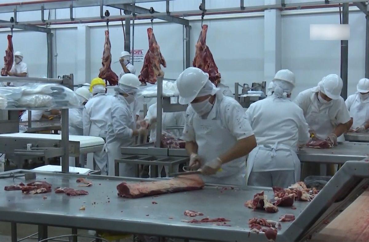 El Dominó de Conexión Ganadera: Frigorífico Casablanca recibe menos ganado, se cae faena y 423 obreros van al seguro de paro