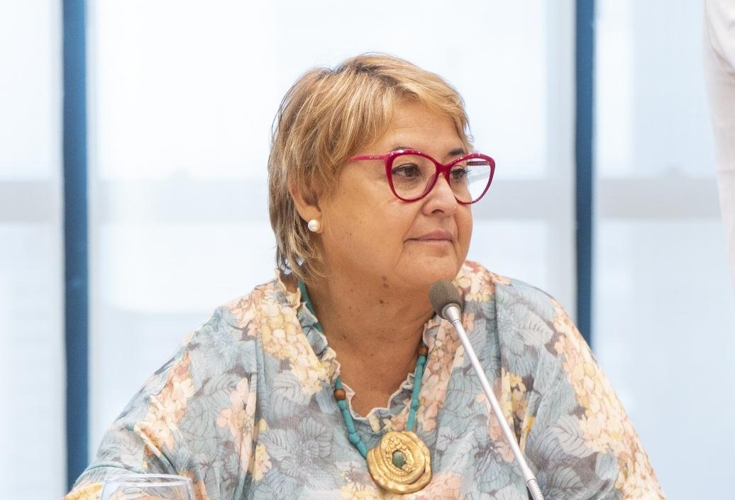 "Es un contrato que nos deja bastante al descubierto", dijo la ministra Lazo sobre la compra directa de patrullas oceánicas