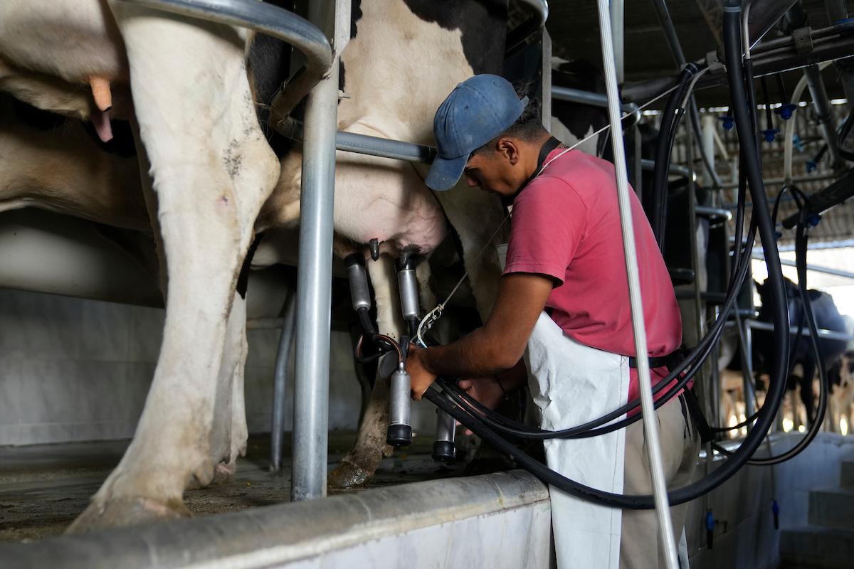 "Siempre hemos estado en defensa de la tierra para nuestros productores", dijo presidente de ANPL