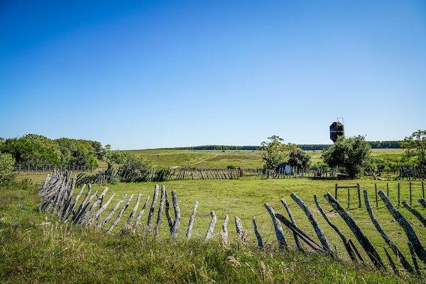 Políticas de tierras en disputa: el rol del INC desde sus orígenes hasta hoy