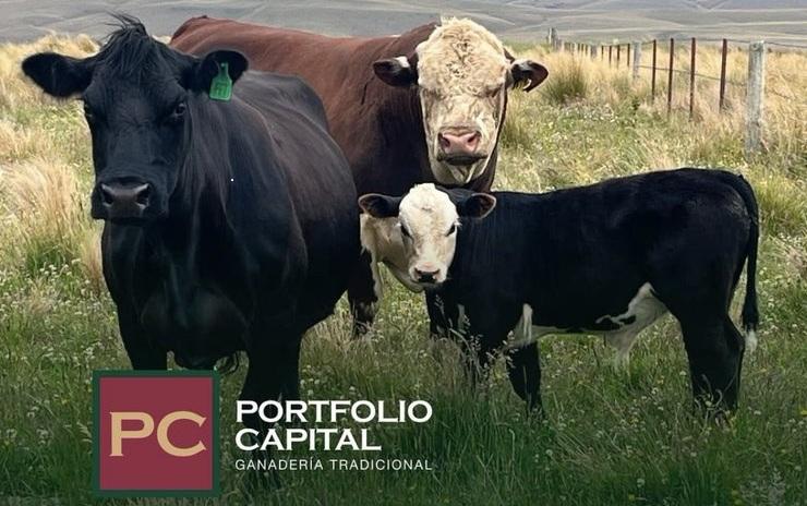 El fondo ganadero Portfolio Capital no pagará dividendos a sus 403 inversores y prevé reestructura