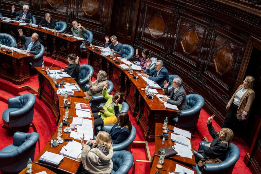 Sala de Senadores del Palacio Legislativo en Montevideo. Foto: Mauricio Zina / adhocFOTOS