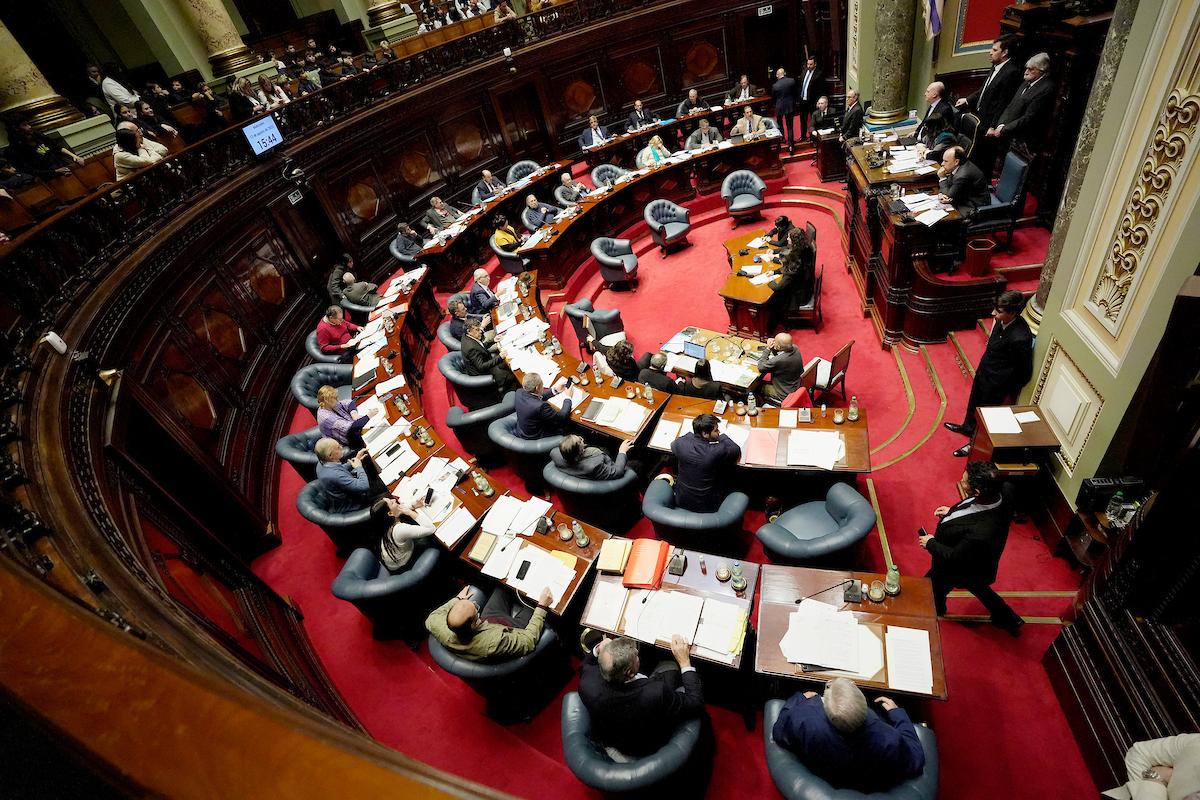 Senado condenó por unanimidad atentado contra la fiscal de Corte Mónica Ferrero