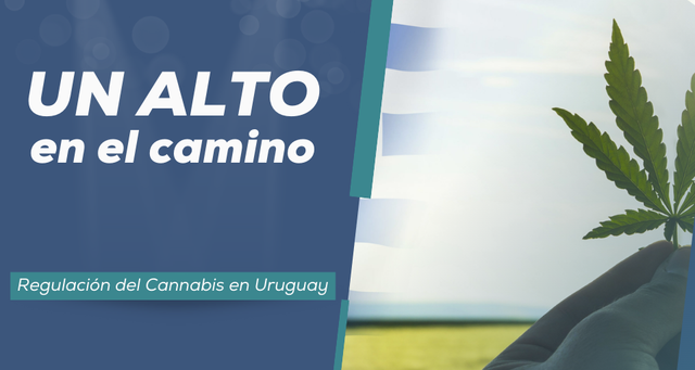 Regulación del Cannabis en Uruguay