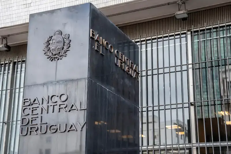 BCU instruyó a Zambrano & Cia a cesar ofrecimiento de inversiones agropecuarias