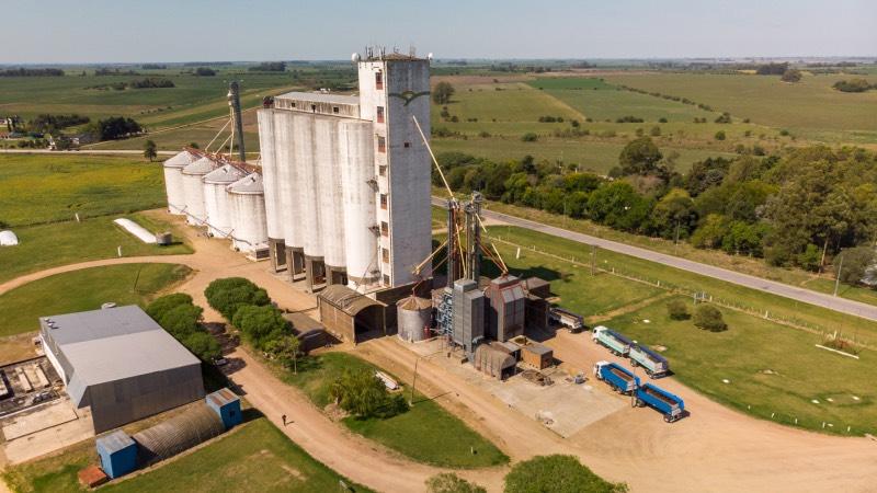"Por mensaje de WhatsApp": cooperativa agroindustrial Copagran despidió a 40 trabajadores