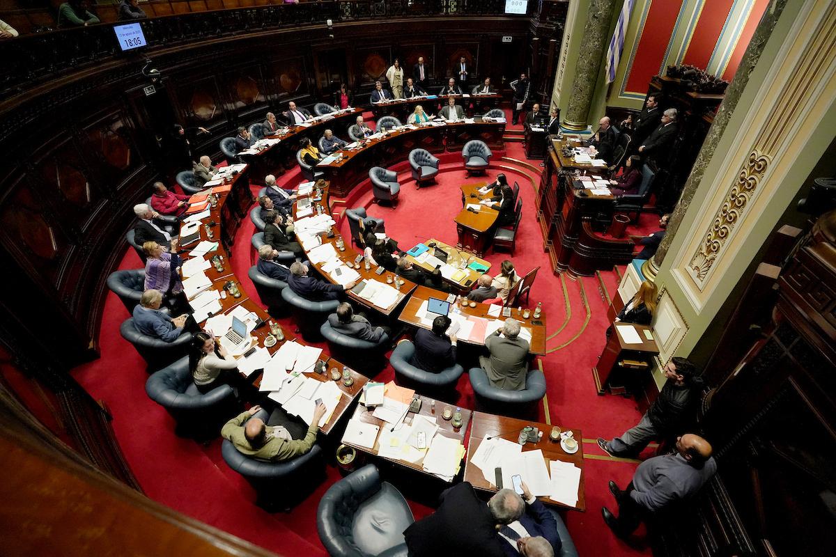 Foto: Javier Calvelo / adhocFOTOS