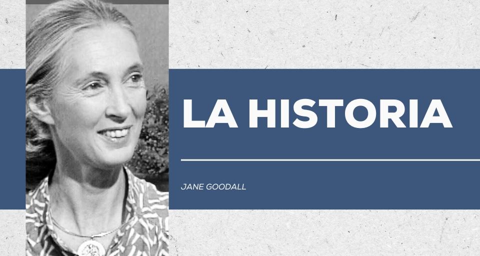 Jane Goodall