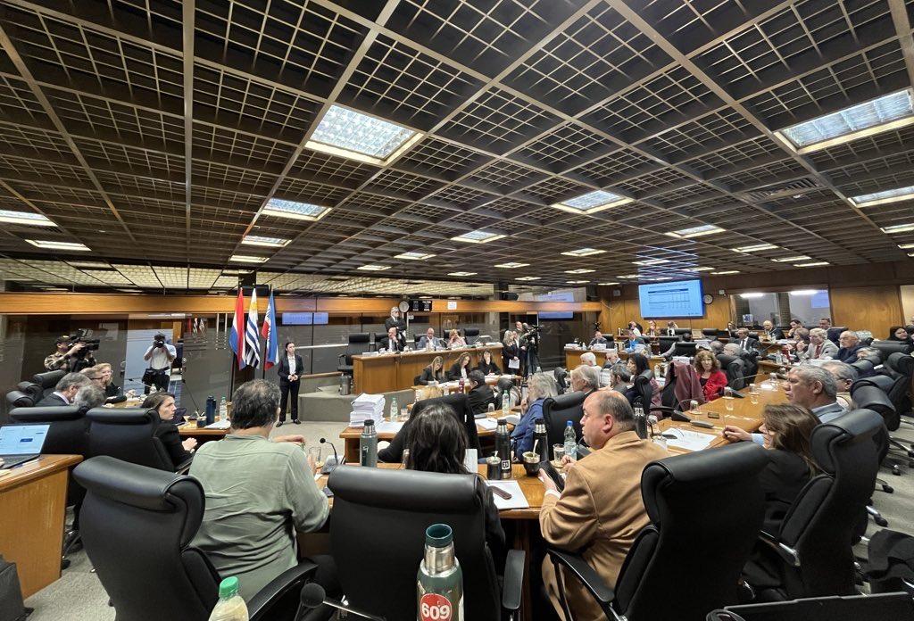 Exposición de Oddone en el Senado. Foto: RRSS Sabini.
