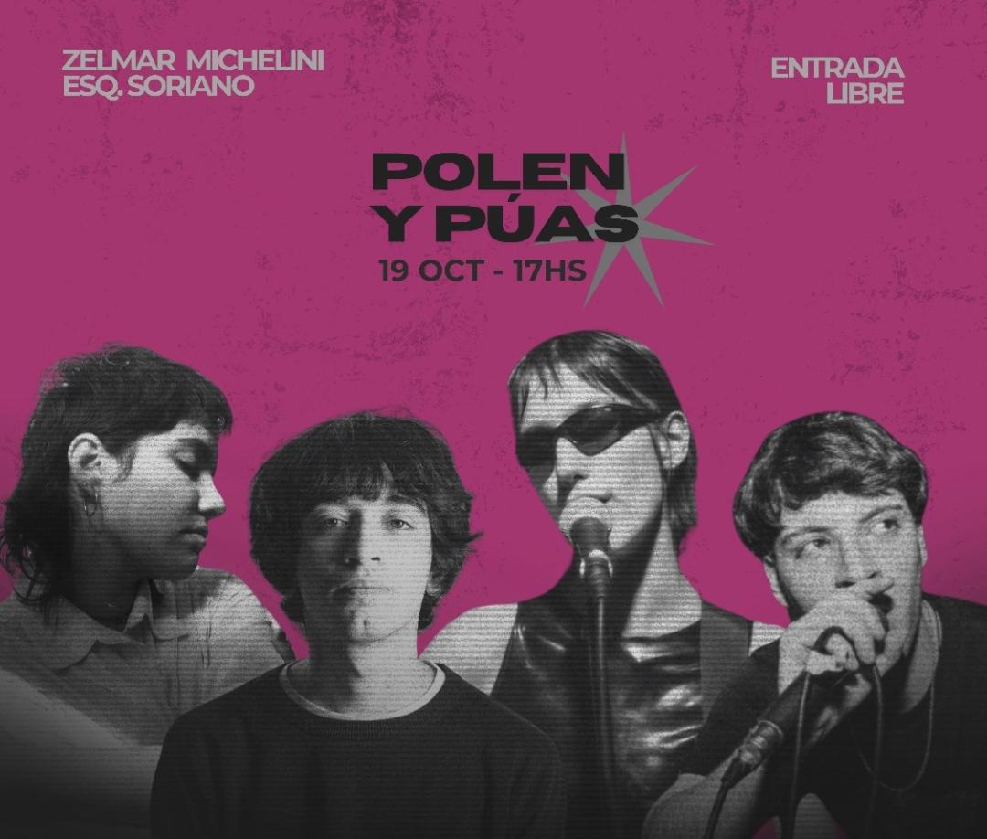 Polen y Púas, un espectáculo de artistas emergentes que busca fomentar la integración barrial