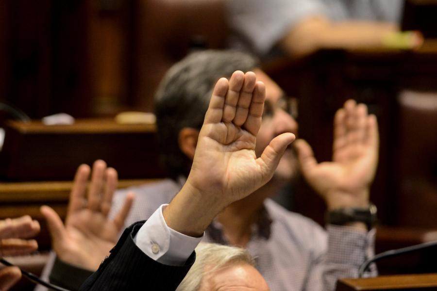 Sesión sobre la Capitalizacion de Ancap en la Cámara de Diputados. Foto: Santiago Mazzarovich/adhocFotos.