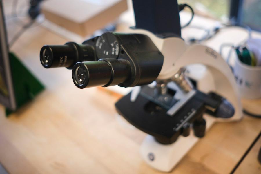 No sólo ladrillo: ¿qué propone el Presupuesto sobre las tax holidays a inversores extranjeros?