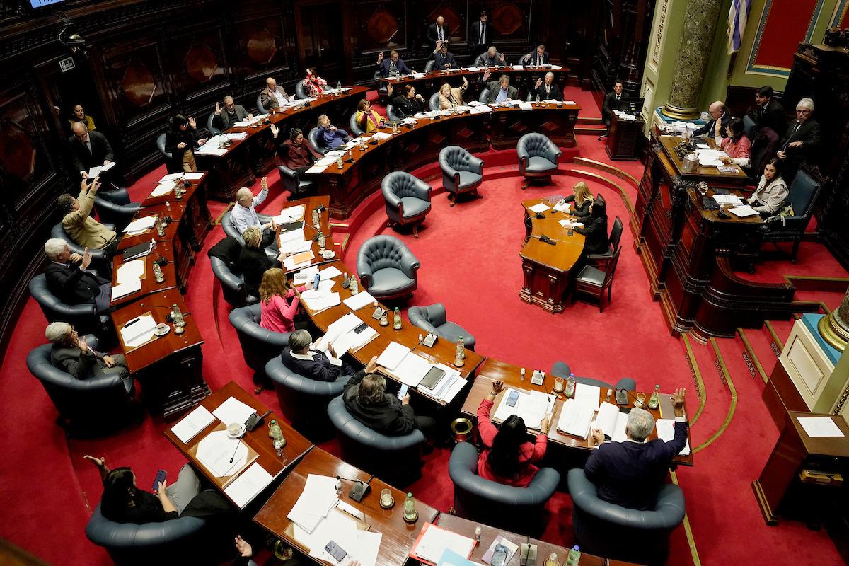 Cámara de Senadores. Javier Calvelo / adhocFOTOS