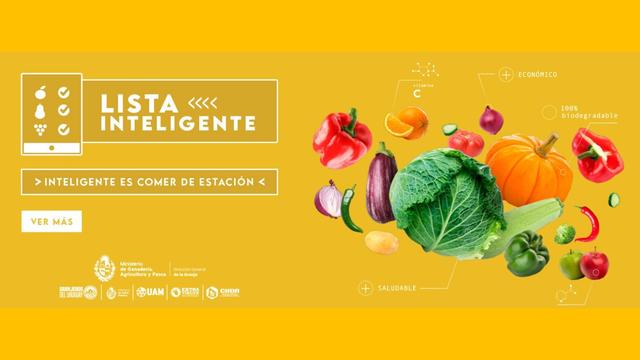 Campo y Ciudad - UAM