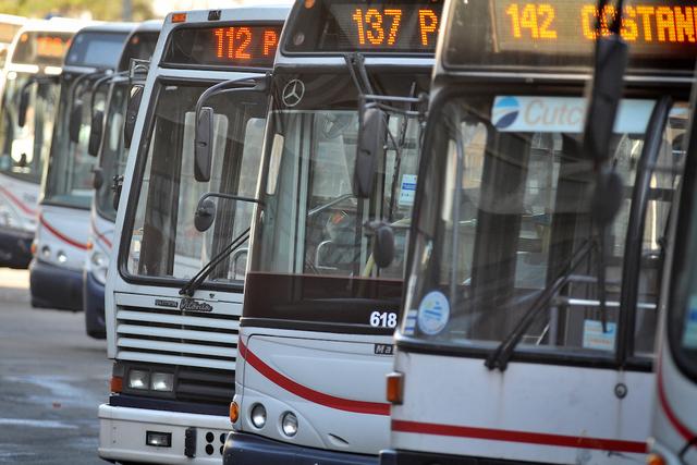 Migues y los estudios de movilidad