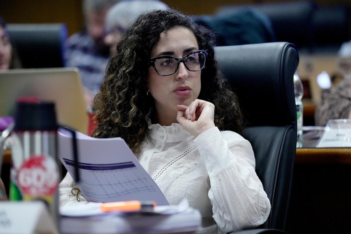 El 18,7% de los niños vivió en un hogar donde se ejerció violencia doméstica en 2024